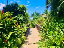 Tranquil Pathway To The Pool And Ocean - Nature's Oasis In West Maui, Hawaii