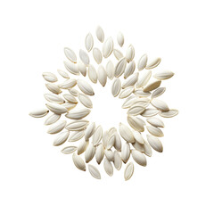 Poster - Sunflower seed shells on transparent background Recycling idea