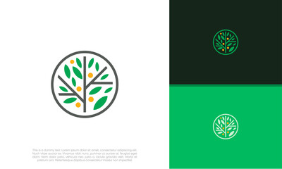 Wall Mural - Abstract round garden plant natural line symbol. Green branch with leaves business sign.	