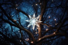 tree-topper star shining brightly on tree