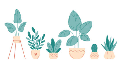 Home potted plants. Houseplants. Home interior. Vector illustration in flat style