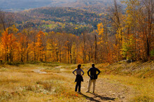 People Walking In Autumn Leaves Maple Trees Leaf Autumn Fall Forest 
