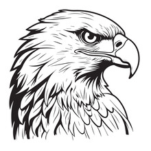 Eagle In Cartoon, Doodle Style. 2d Illustration In Logo, Icon Style. Black And White