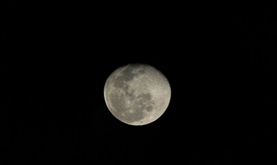 moon in the night