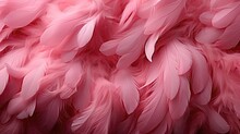 Bright Pink Feathers Background. Close Up Macro Feathers Photo