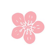 Poster - Vector hand drawn doodle sketch pink sakura flower isolated on white background