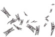 Digital png photo of banknotes falling on transparent background