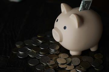 Sticker - piggy bank with coin on old wooden table