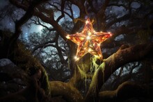 tree-topper star shining brightly on tree