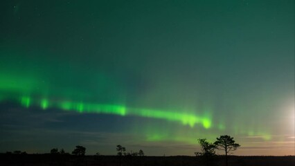 timelapse of aurora borealis on the night sky over marshlands in finland