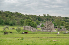 A View Of Ogmore Castle, A Ruined Castle On The South Wales Coast. The Castle Is Set In A Rural Area, With Sheep And Horses Grazing The Land Around It 