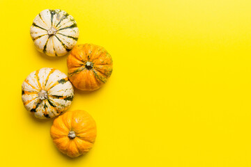 Wall Mural - autumn composition of little orange pumpkins on colored table background. fall, halloween and thanks