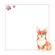Corgi frame. A sitting dog. Watercolor illustration. Furry friend. Veterinary medicine and medicines for animals.