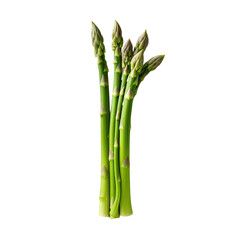 Canvas Print - Green asparagus isolated on transparent background