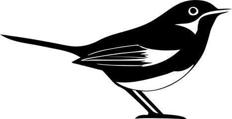 Wall Mural - Black and white Warbler 1