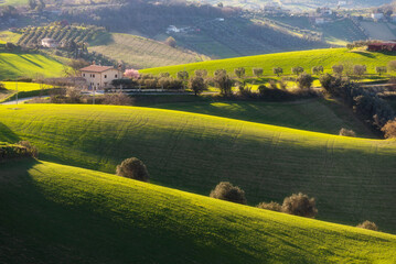 Agricultural fields and cultivated land on hills