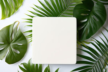 White Square Stand For Product Placement On Tropical Palm And Monstera Leaves Background.