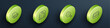 © Vadim - Set Isometric line Lemon, Bathroom scales, Sauna brush and Bar of soap icon. Vector