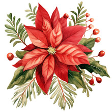 Red Poinsettia Isolated Watercolor Clipart