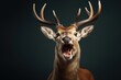 Happy surprised deer with open mouth.