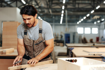 Wall Mural - Young carpenter making wood furniture while working in joinery