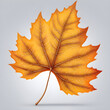 autumn maple leaf Generative AI