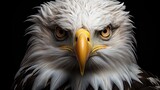  a bald eagle with a yellow beak and orange eyes looks straight ahead.  generative ai
