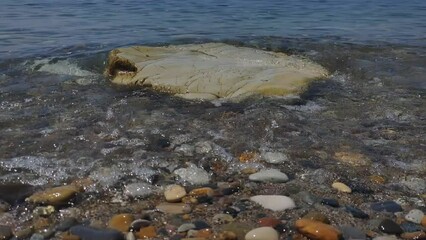 Poster - Large stones on the seashore in summer.
