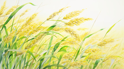 Wall Mural - Paddy field. Ripe ears of rice. Partial close-up. Yellow-green leaves and yellow-green mixed ears of rice,close-up shot,light watercolor