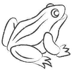 Wall Mural - Hand drawn Frog illustration icon