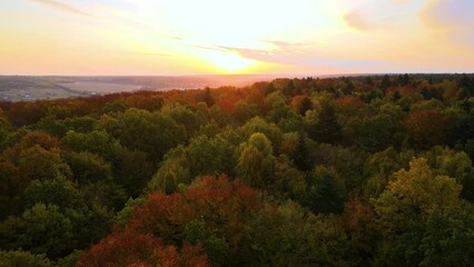 Sticker - Aerial view of lush forest with colorful canopies in autumn woods on sunny evening. Landscape of autumnal wild nature at sunset