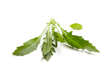 Wall Mural - Fresh arugula or rucola leaf vegetable isolated on white background. Garden rocket salad greens. Low-calorie ingredient for healthy diets