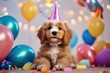 Geburtstagskarte - Hund mit Hütchen aus Pappe und vielen Luftballons. Dekoration für eine Feier, ideal als Einladungskarte mit Emotionen.