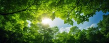Green Trees In Summer Time. Eco, Fresh Plants, Green Energy, Healthy And Happy Life Style Concept. AI Generated Image.