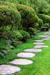 Stone stepping Walkway among lawn in a Japanese style garden.