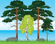 Vector illustration of the beautiful landscape riverside and tree year daytime