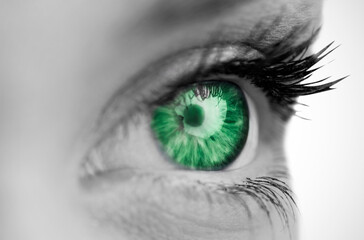 Poster - Digital png illustration of green eye on transparent background