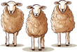 sheep and lamb design