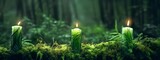 Fototapeta  - Burning candles on moss, dark green blurred the natural background. Magic candle. 