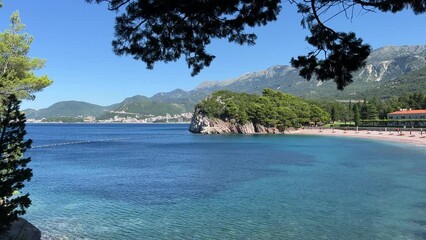 Canvas Print - Sea blue water, beautiful beach and pine trees on the shore at summer sunny day.