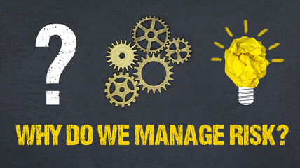 Sticker - Why do we manage risk?