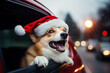 Happy corgi wearing a Santa Claus hat peeks out of a car window. Wet snow falls on the highway with cars during its joyful Christmas journey.