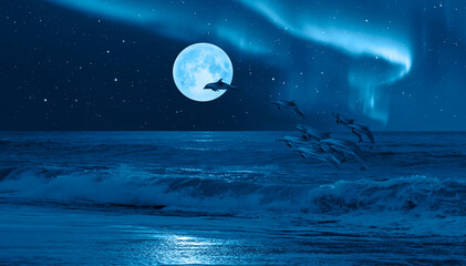 Poster - Silhoutte of dolphins jumping up from the sea with blue full moon Aurora Borealis in the background 