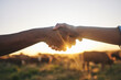 © Davids C/peopleimages.com - Welcome, handshake and people with b2b farm deal for agriculture, partnership or small business support. Thank you, shaking hands and farming collaboration for supply chain, trust and agro startup
