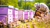 Local beekeeper tending to beehives nestled in wildflower field. Banner. Generative Ai content.