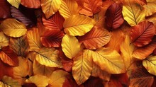 The Autumn Leaves Wallpapers Hd Generative Ai