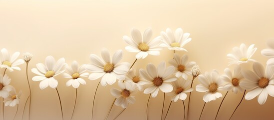 Poster - Chic chamomile daisy flowers pattern with shadows on neutral backdrop and copy space