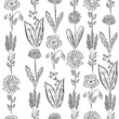 © Yulia Zelinskaya - Floral seamless pattern with wild field plants in sketch style