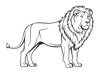 Wall Mural - lion pencil drawing coloring book. Vector illustration