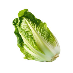 Wall Mural - Chinese cabbage isolated on transparent background